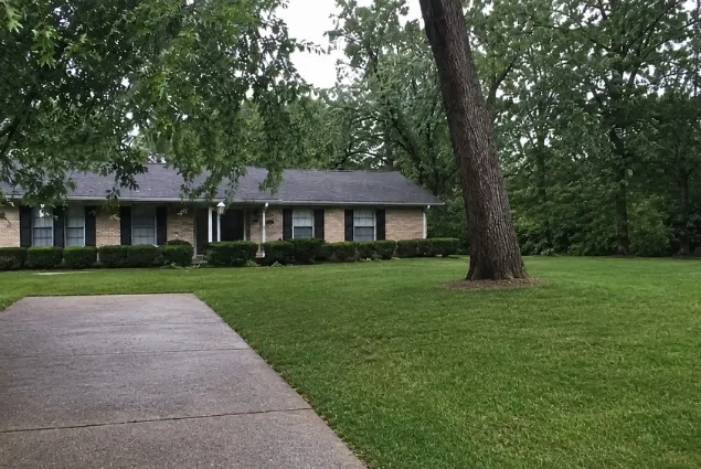 Storm Damage Cleanup After